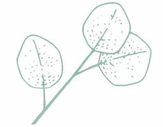 plante-2