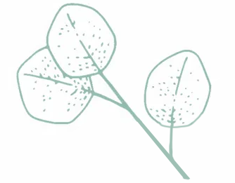 plante-3